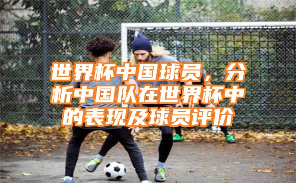 世界杯中国球员，分析中国队在世界杯中的表现及球员评价